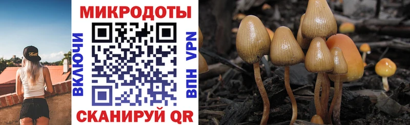 Псилоцибиновые грибы MAGIC MUSHROOMS  Клинцы 