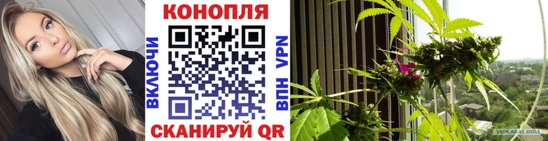 Бошки Шишки VHQ  купить  цена  Клинцы 